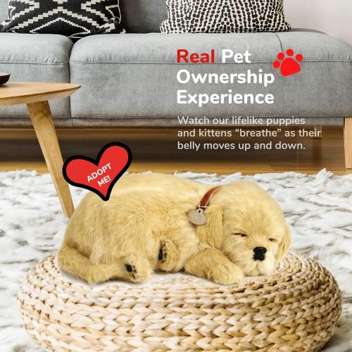  [아마존베스트]Perfect Petzzz Golden Retriever Plush