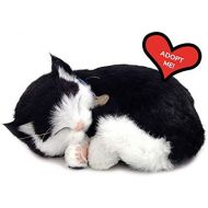 [아마존베스트]88 Unlimited Perfect Petzzz Black and White Shorthair Kitten Plush