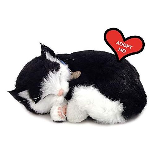  [아마존베스트]88 Unlimited Perfect Petzzz Black and White Shorthair Kitten Plush