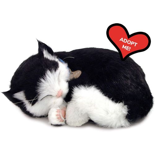  [아마존베스트]88 Unlimited Perfect Petzzz Black and White Shorthair Kitten Plush