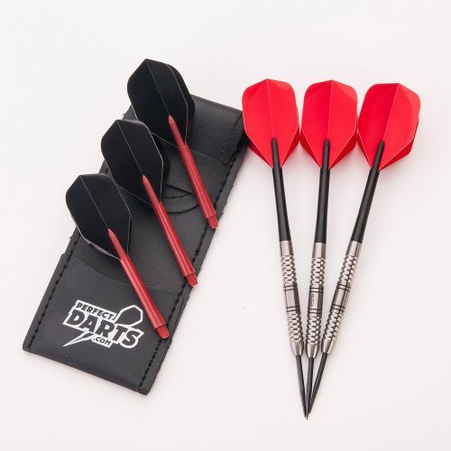  PerfectDarts 29g NODOR CHEETAH DARTS SET, 6 RAW100 TOUGH FLIGHTS, 6 STEMS, PD CASE