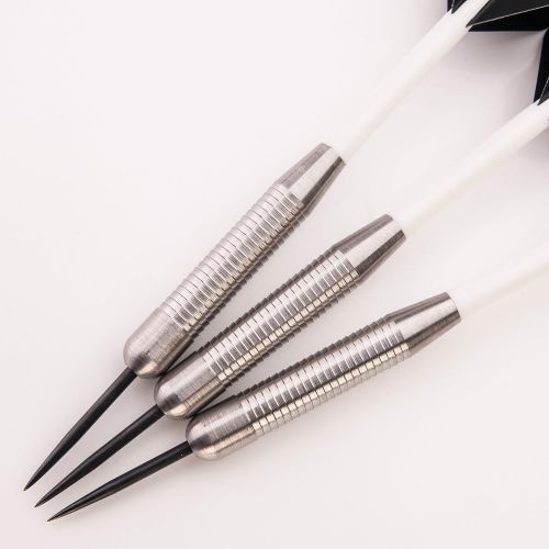  PerfectDarts 40g NODOR HIPPO HEAVY DARTS SET, 6 RAW100 TOUGH FLIGHTS, 6 STEMS, PD CASE