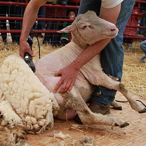  Pet & Livestock HQ | 380W Sheep Shears Electric Clipper Goats, Alpaca, Llamas, Angora Rabbits Shearing Hand Piece Cutter Grooming Farm Pet Supplies Livestock, 2 Blades, CE