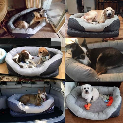  [아마존 핫딜]  [아마존핫딜]Pet Deluxe Dog and Puppy Bed, Grooved Orthopedic Foam Beds with Removable Washable Cover, Ultra Comfort, Padded Rim Cushion, Nonslip Bottom, for Dogs/Puppies