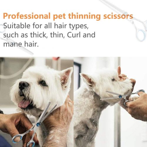  Pet Deluxe Pet Dog Grooming Scissors Kit, Stainless Steel 5 in 1 Premium Set, Safety Round Tip Grooming Shears for Large Dogs, Cats or Other Pets.