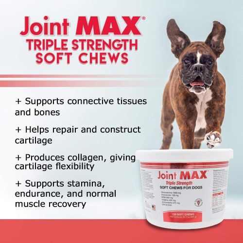  Pet Health Solutions Joint MAX Triple Strength Soft Chews Glucosamine Chondroitin with MSM for Dogs Hip & Joint, Made in USA