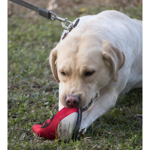  PET LIFE Fribee Toss Extreme Neoprene Floatation Floating Waterproof Frisbee Chew-Tough Durable Pet Dog Toy, Red/Black