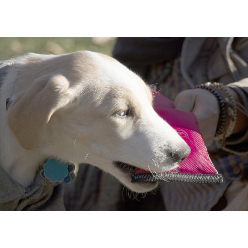  Pet Life Active-Life Extreme Neoprene Floatation Tug-N-Pull Chew-Tough Dog Toy