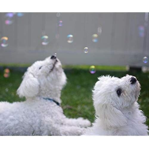  Pet Qwerks Doggy Incredibubbles