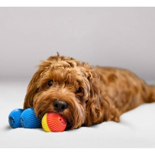  Pet Qwerks Talking Babble Ball Interactive Dog Toy, Wisecracks and Makes Funny Sounds When Touched