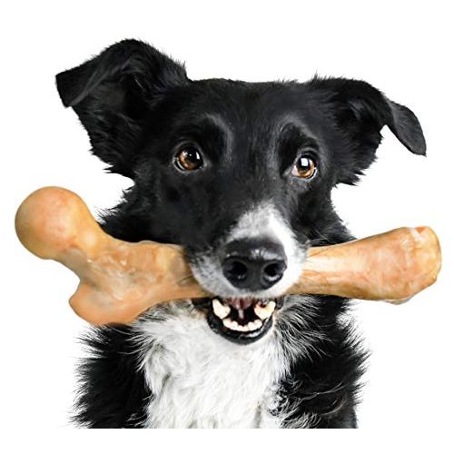  Pet Qwerks Boar BarkBone Pork Chop Flavor Chew Toy - For Aggressive Chewers, Tough Durable Extreme Power Chew Toy, Indestructible | Made in USA - For Large Breed Dogs