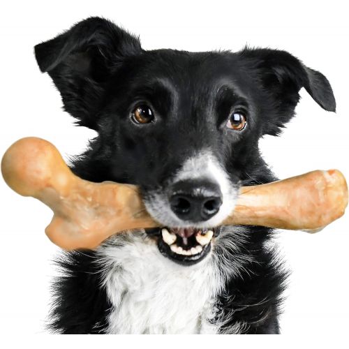  Pet Qwerks Boar BarkBone Pork Chop Flavor Chew Toy - For Aggressive Chewers, Tough Durable Extreme Power Chew Toy, Indestructible | Made in USA - For Large Breed Dogs