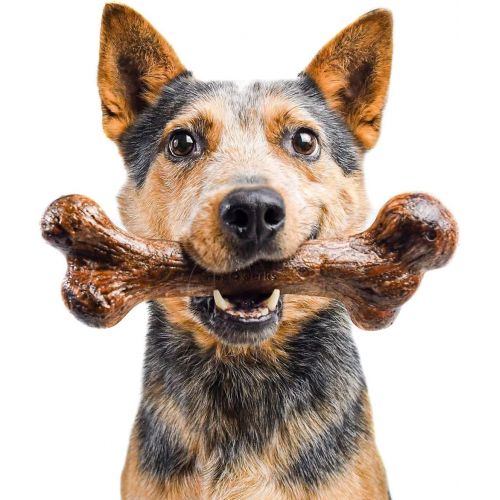  Pet Qwerks Dinosaur BarkBone Chew Toy - Tough Durable Nearly Indestructible Bone for Extreme Aggressive Power Chewers | Made in USA, with FDA Compliant Nylon - 2 Flavors Available