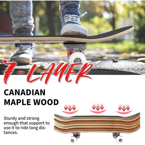  PetGirl Skateboards 31x 8 Complete Skateboard Cruiser 9 Layer Canadian Maple Double Kick Concave Standard and Tricks Skateboards for Beginner and Pro