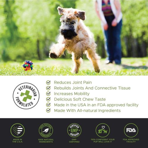  [아마존 핫딜]  [아마존핫딜]PetHonesty PureMobility Glucosamine for Dogs - Premium Dog Joint Supplement Support with Glucosamine, Green-Lipped Mussel, Collagen & Turmeric - Advanced Hip & Joint Chews & Pet Joint Pain Re