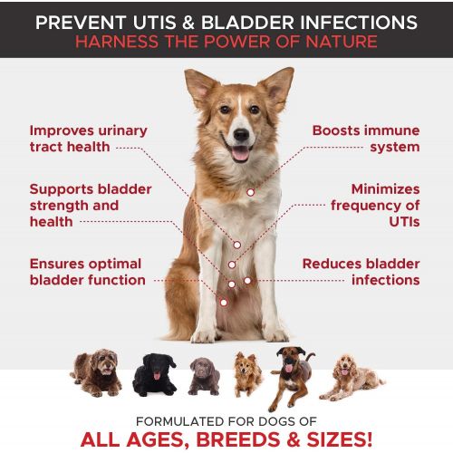  [아마존 핫딜] [아마존핫딜]PetHonesty Cranberry for Dogs - Cranberry Pills for Dogs Bladder Support No More Dog Antibiotics - Dog UTI Treatment Food - Bladder Infection Relief Urinary Tract Health UT Incontinence, Immu