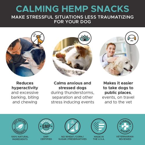  [아마존 핫딜] [아마존핫딜]PetHonesty Hemp Calming Treats for Dogs - All-Natural Soothing Snacks with Hemp + Valerian Root, Stress & Dog Anxiety Relief - Aids with Thunder, Fireworks, Chewing & Barking