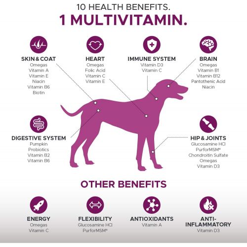 [아마존핫딜][아마존 핫딜] PetHonesty 10 in 1 개 멀티비타민 글루코사민 - 필수 개 비타민, 글루코사민 콘드로이틴, 프로바이오틱스 및 오메가 피쉬 오일 개 전체 건강에 대한 글루코사민 - 개 관절용 보충제 심장