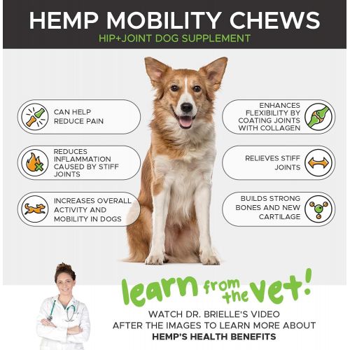  [아마존 핫딜] [아마존핫딜]PetHonesty Hemp Hip & Joint Supplement for Dogs w/Hemp Oil + Hemp Powder - Glucosamine Chondroitin for Dogs w/Turmeric, MSM, Green Lipped Mussel, Dog Treats Improve Mobility, Reduc