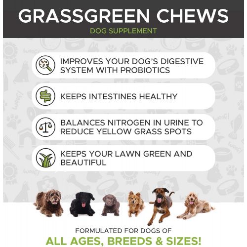  [아마존핫딜][아마존 핫딜] PetHonesty GrassGreen Grass Burn Spot Chews for Dogs - Dog Pee Lawn Spot Saver Treatment Caused by Dog Urine - Cranberry, Apple Cider Vinegar, DL-Methionine Grass Treatment Rocks -