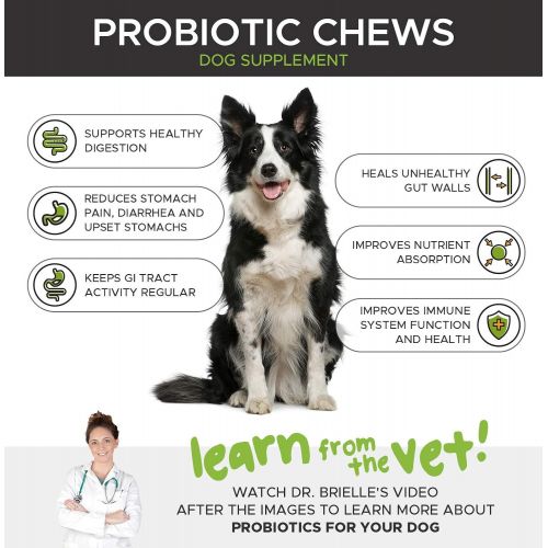  [아마존핫딜][아마존 핫딜] PetHonesty Probiotics for Dogs, 90 All-Natural Advanced Dog Probiotics Chews with Prebiotics, Relieves Dog Diarrhea and Constipation, Improves Digestion, Allergy, Hot Spots, Immuni