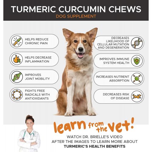  [아마존 핫딜] PetHonesty Turmeric Curcumin for Dogs - Arthritis Hip & Joint Supplement Soft Chews with Turmeric, BioPerine, Fish Oil & Coconut for Joint Pain Inflammation Relief - Digestive & Im