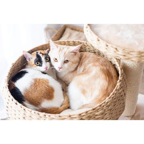  PetPals Paper Rope Natural Bowl Shaped with Perch Cat Tree