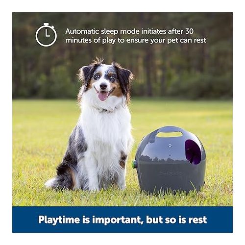  PetSafe Automatic Tennis Ball Launcher - Interactive Dog Thrower Adjustable Range Motion Sensor Indoor & Outdoor Toy A/C Power or Batteries Fetch Machine for Small to Large Dogs , Gray