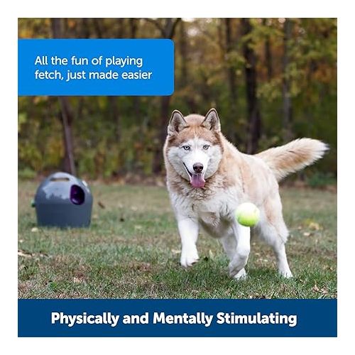  PetSafe Automatic Tennis Ball Launcher - Interactive Dog Thrower Adjustable Range Motion Sensor Indoor & Outdoor Toy A/C Power or Batteries Fetch Machine for Small to Large Dogs , Gray