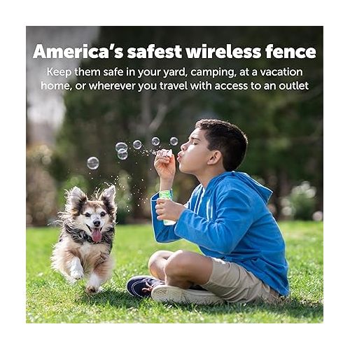  PetSafe Wireless Pet Fence Containment System Receiver Collar Only for Dogs and Cats Over 8 lbs., Waterproof with Tone and Static Correction - from The Parent Company of Invisible Fence Brand