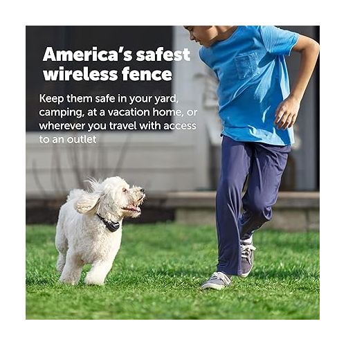  PetSafe Stay & Play Wireless Pet Fence & Replaceable Battery Collar - Circular Boundary Secures up to 3/4 Acre Yard, No-Dig, America's Safest Wireless Fence (Packaging May Vary)