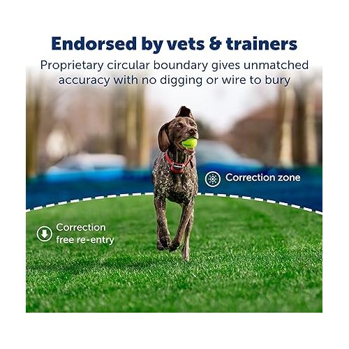  PetSafe Stay & Play Wireless Pet Fence for Stubborn Dogs - No Wire Circular Boundary, Secure 3/4-Acre Yard, For Dogs 5lbs+, America's Safest Wireless Fence From Parent Company INVISIBLE FENCE Brand