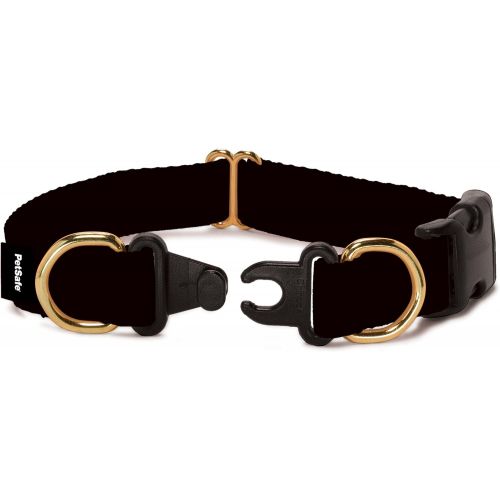  Petsafe KeepSafe Break-Away Collar, Prevent Collar Accidents for your Dog or Puppy, Improve Safety, Compatible with Leash Use, Adjustable Sizes