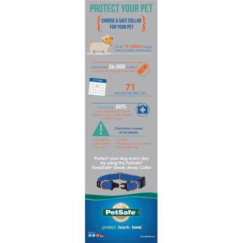  Petsafe KeepSafe Break-Away Collar, Prevent Collar Accidents for your Dog or Puppy, Improve Safety, Compatible with Leash Use, Adjustable Sizes
