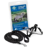 PetSafe Come with Me Kitty Harness and Bungee Leash, Harness for Cats