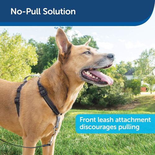  PetSafe 3 in 1 Harness - No-Pull Dog Harness - for X-Small, Small, Medium and Large Breeds - from the Makers of the Easy Walk Harness