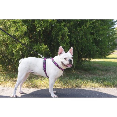  PetSafe 3 in 1 Harness - No-Pull Dog Harness - for X-Small, Small, Medium and Large Breeds - from the Makers of the Easy Walk Harness