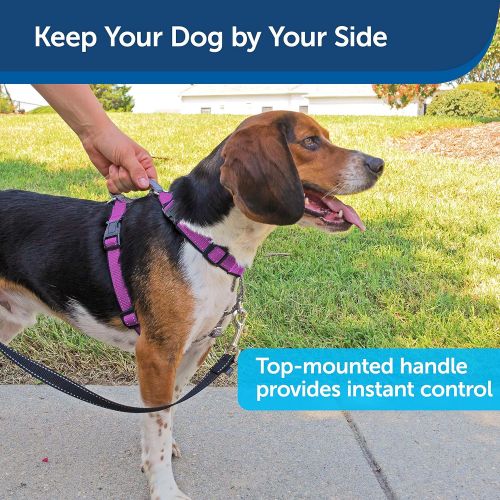  PetSafe 3 in 1 Harness - No-Pull Dog Harness - for X-Small, Small, Medium and Large Breeds - from the Makers of the Easy Walk Harness