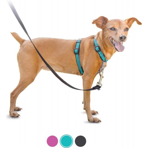  PetSafe 3 in 1 Harness - No-Pull Dog Harness - for X-Small, Small, Medium and Large Breeds - from the Makers of the Easy Walk Harness