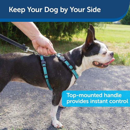  PetSafe 3 in 1 Harness - No-Pull Dog Harness - for X-Small, Small, Medium and Large Breeds - from the Makers of the Easy Walk Harness