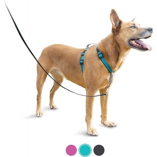  PetSafe 3 in 1 Harness - No-Pull Dog Harness - for X-Small, Small, Medium and Large Breeds - from the Makers of the Easy Walk Harness