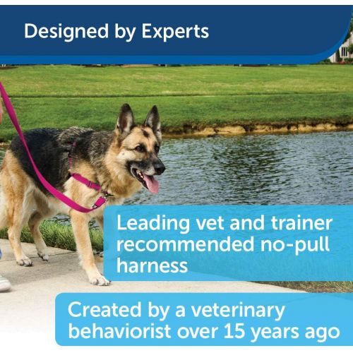  PetSafe Easy Walk Dog Harness, No Pull Dog Harness, Raspberry/Gray, Small