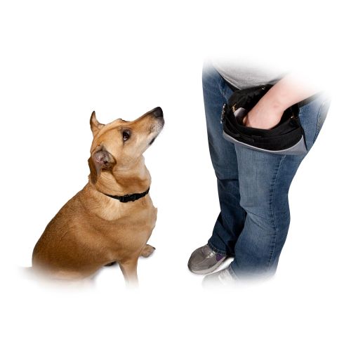  PetSafe Treat Pouch Sport- Durable, Convenient Dog Training Accessory