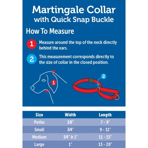  PetSafe Martingale Dog Collar with Quick Snap Buckle
