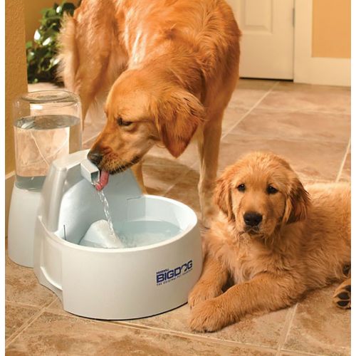  PetSafe Drinkwell 2 Gallon and Big Dog Pet Fountains, Automatic Dog and Cat Water Fountain, Best for Medium to Large Breeds and Multiple Pets