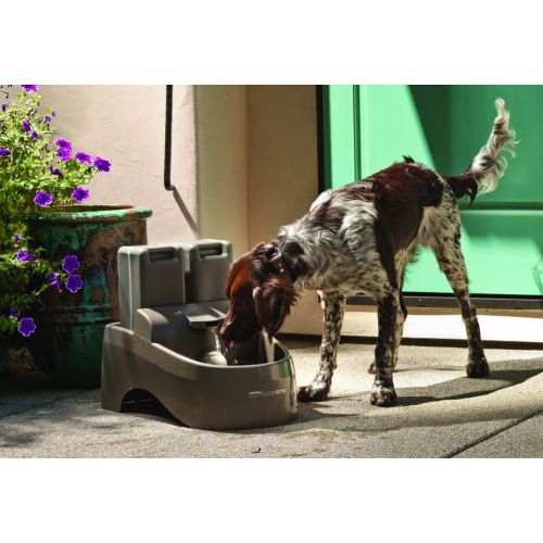  PetSafe Drinkwell Indoor/Outdoor Dog Fountain, Pet Drinking Fountain for Dogs and Cats, 450 oz. Water Capacity