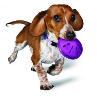 PetSafe Busy Buddy Twist n Treat, Treat Dispensing Dog Toy, X-Small, Small, Medium and Large Sizes