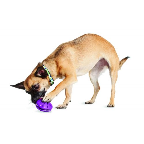  PetSafe Busy Buddy Twist n Treat, Treat Dispensing Dog Toy, X-Small, Small, Medium and Large Sizes