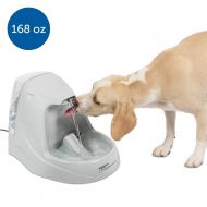 PetSafe Drinkwell Platinum or 1 Gallon Pet Water Fountain - Drinking Fountain for Cats and Small to Medium Dogs