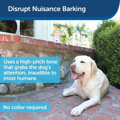  PetSafe Outdoor Ultrasonic Dog Bark Deterrent - Anti Barking Device for Small, Medium and Large Dogs  Weatherproof  Up to ¼ Acre Bark Control Coverage